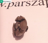 باتومی کمک فنر پیکان