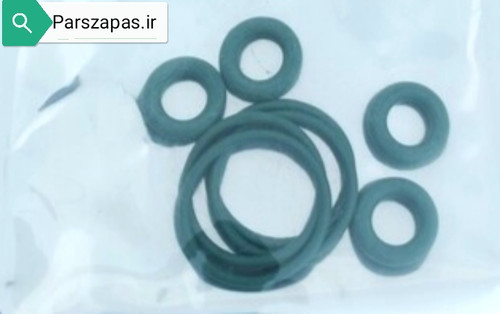 اورینگ سوزن انژکتور تپل پژو 405