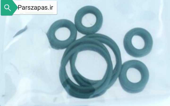 اورینگ سوزن انژکتور تپل پژو 405